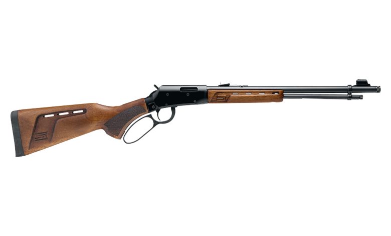 Back to the Basics: The .22 LR Lever-Action Rifle