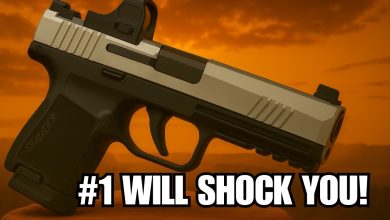 These 7 .22LR Pistols Are Breaking the Internet in 2025 – Number 1 Will Shock You!