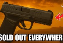Sold Out Everywhere: The Guns Americans Are Rushing to Buy