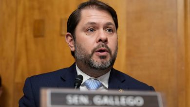 Dem senator to oppose military honors for Capitol rioter Ashli Babbitt