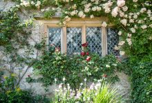 Best Free and Cheap Ways to Fortify a Suburban Home – Survivopedia