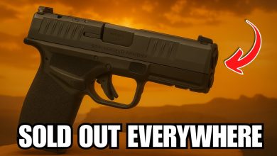 These Pistols Are Flying Off Gun Store Shelves in 2025 — Find Out What’s Hot Now!