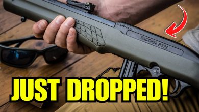 SEPTEMBER 2025 Gun Drops You’ll Actually Care About