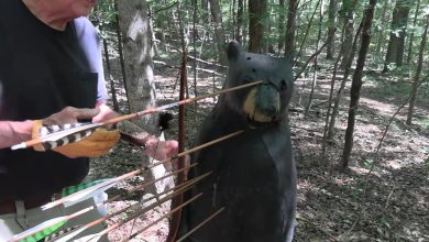 Are Pulleys and Wheels Necessary for Bear Hunting? Are Pulleys and Wheels Necessary for Bear Hunting?