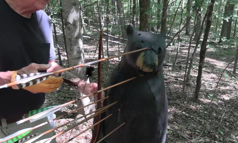 Are Pulleys and Wheels Necessary for Bear Hunting?