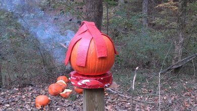 Pumpkin Killing 2025 Pumpkin Killing 2025