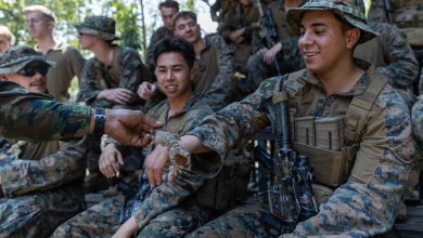 why troops keep naming things after reptiles