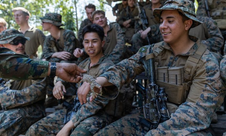 why troops keep naming things after reptiles why troops keep naming things after reptiles