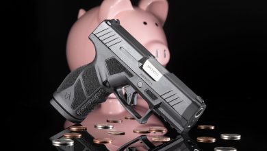 Review: Taurus GX2
