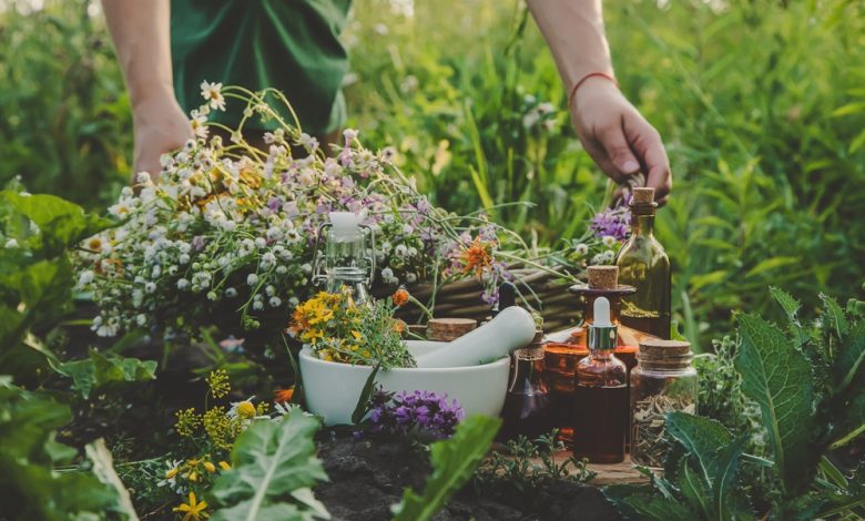 How to Grow a Survival Medicine Garden – Survivopedia How to Grow a Survival Medicine Garden – Survivopedia