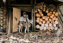 Comparing the Food Strategies of Each – Survivopedia
