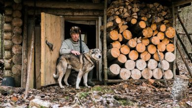 Comparing the Food Strategies of Each – Survivopedia