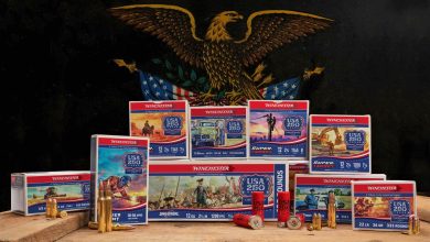 Winchester Celebrates America’s 250th Birthday