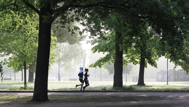 How Fast Can You Run?