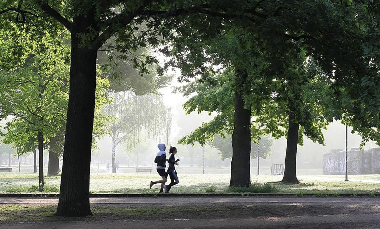 How Fast Can You Run? How Fast Can You Run?