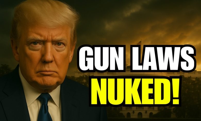The Supreme Court Just DELETED Half the Gun Laws In America In 2025!