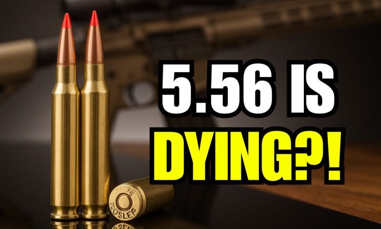 5.56 mm is DEAD! The New King of Rifle Calibers Revealed!