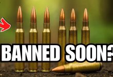 BIG Shortage INCOMING: 7 Calibers Every Gun Owner Should Stock in 2025!