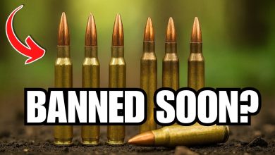 BIG Shortage INCOMING: 7 Calibers Every Gun Owner Should Stock in 2025!