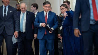 House passes bill to end historic government shutdown