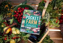 How I Finally Became Food Independent – Survivopedia