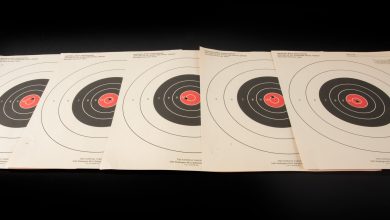 Making The Perfect Shot