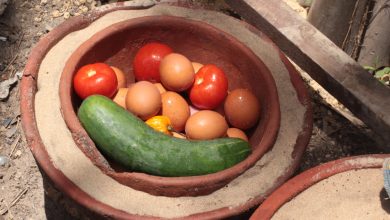 Old Tech That Still Cools Food – Survivopedia