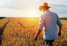 What Homesteading Teaches Us About God and Grit – Survivopedia