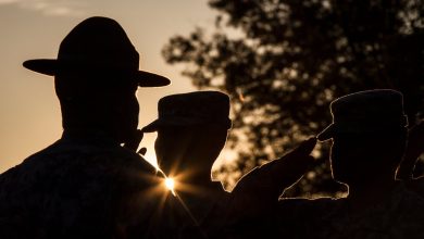 Drill sergeants accused of sexual misconduct, abusing authority