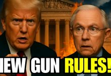 10 Gun Laws Just Changed After December Court Ruling – Every Owner Must See This NOW!