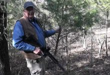 Christmas Tree Hunt 2025