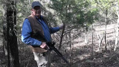 Christmas Tree Hunt 2025 Christmas Tree Hunt 2025