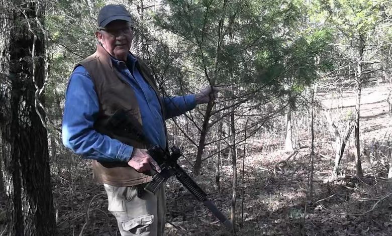 Christmas Tree Hunt 2025