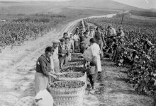 How wine and champagne helped to defeat the Nazis