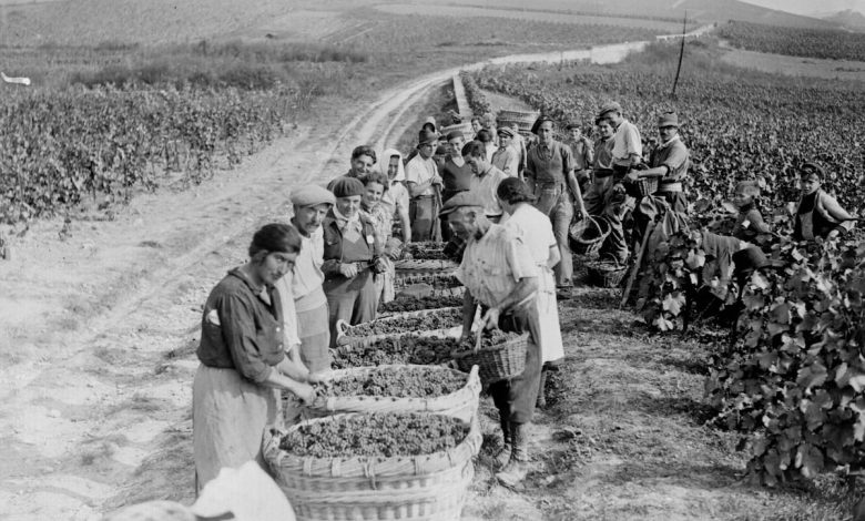 How wine and champagne helped to defeat the Nazis How wine and champagne helped to defeat the Nazis