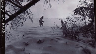 Against all odds: The 2nd Infantry Division’s fight at Elsenborn Ridge