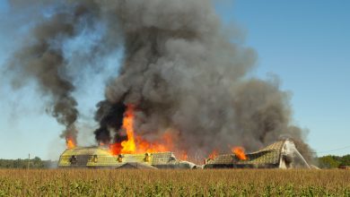 Food Factories Are Burning… Coincidence or Warning? – Survivopedia