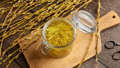 How Willow Bark Replaced Aspirin – Survivopedia