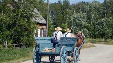 How Worldviews Shaped Their Survival – Survivopedia