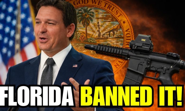 Florida Just Told Gun Owners: We’re Ending This