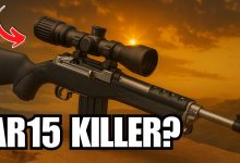 10 Reasons Why the Ruger Mini-14 SMASHES the AR15