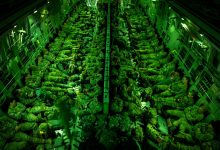 Army readies 1,500 soldiers for possible Minnesota deployment: sources