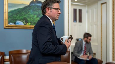 Trump urges House to vote quickly to end partial government shutdown