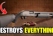 Why 12 Gauge Is the MOST POWERFUL Round in America (Nothing Comes Close)