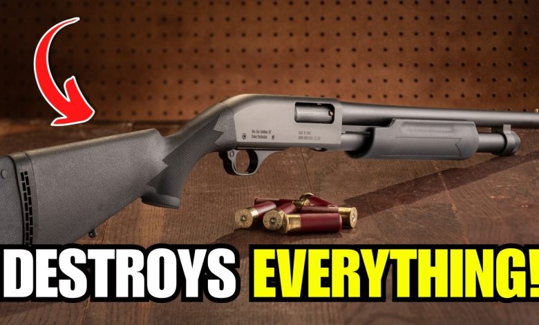 Why 12 Gauge Is the MOST POWERFUL Round in America (Nothing Comes Close)