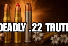 The Truth About .22 Ammo Nobody Explains Clearly