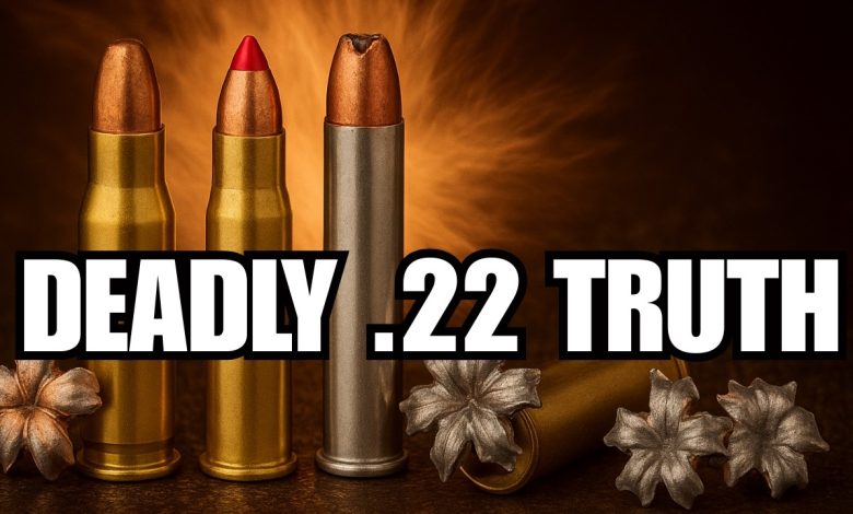 The Truth About .22 Ammo Nobody Explains Clearly