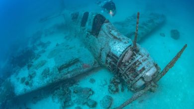 Efforts underway to preserve first WWII Devastator torpedo bomber
