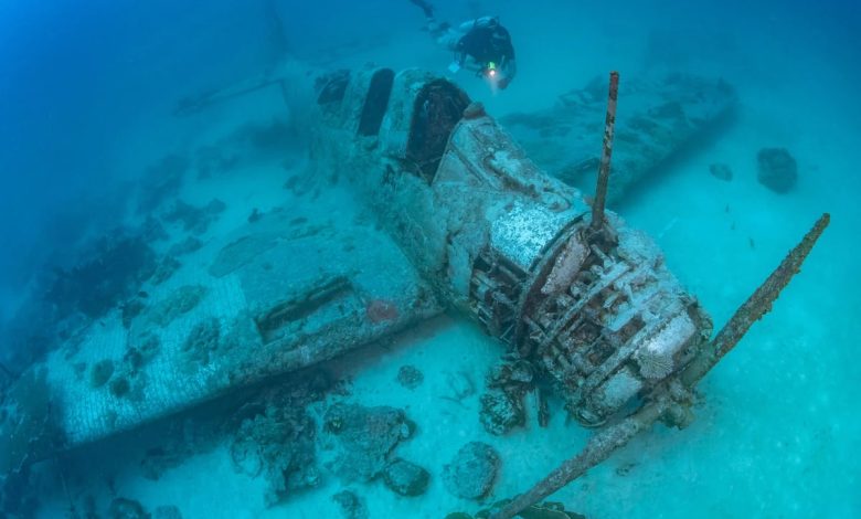 Efforts underway to preserve first WWII Devastator torpedo bomber Efforts underway to preserve first WWII Devastator torpedo bomber