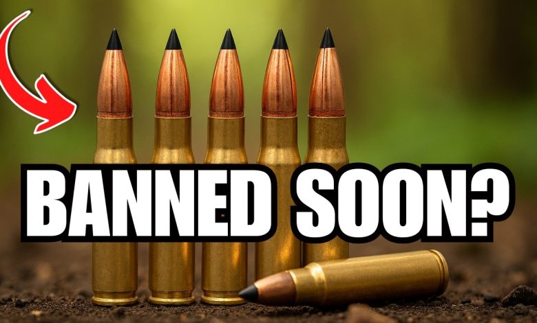 BIG Shortage INCOMING: 7 Calibers Every Gun Owner Should Stock in 2026!